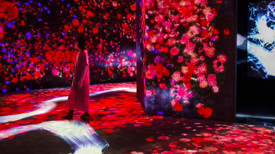 TeamLab: Continuity at the Asian Art Museum - SF Civic Center